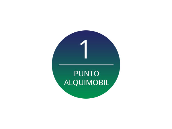 Alquiler coche plan de puntos